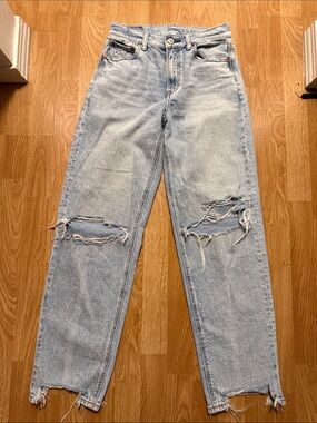 American Eagle Outfitters Light Blue Distressed Straight-Leg Jeans